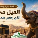 قصة فيل ابرهة للاطفال